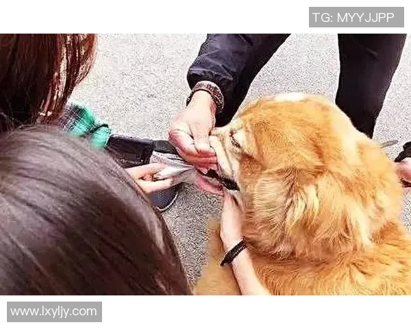 打篮球时意外走光的尴尬瞬间揭秘让人哭笑不得的趣事与教训